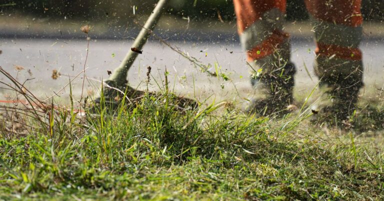 corte de grama em Porto Alegre