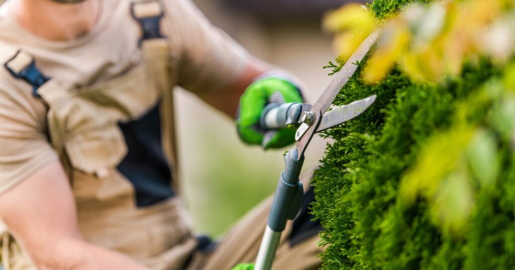 poda e plantio em Porto Alegre